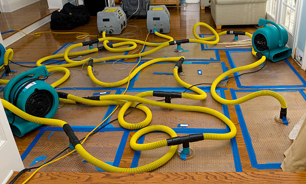 Professional Sewage Cleanup technician working in Gilberts, IL